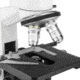 Barska 40x - 2000x Binocular Compound Microscope, White, Medium AY13074