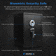 Barska Large Biometric Fingerprint Scanner Safe, 14in x 13in x 19.75in Exterior AX11650