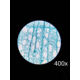 Barska Student Monocular Compound 800x Microscope, White, Small AY13110