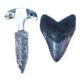 Battling Blades Shark Tooth High Carbon Damascus Bone Handle - Knife, 5759035474082