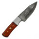 Battling Blades Skinning Knife, High Carbon Damascus Steel Blade, 7353655591084