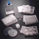 BD BioCoat Cellware, Laminin, BD Biosciences 354404 Multiwell Plates 6-Well