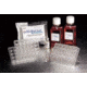 Corning BioCoat HTS Caco-2 Assay Systems Hts Caco-2 Assay Systems One Plate Kit, Each, 354801