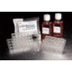 BD BioCoat HTS Caco-2 Assay Systems, BD Biosciences 354802 Hts Caco-2 Assay Systems Five Plate Kit
