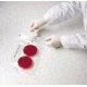 BD GasPak EZ Pouch Systems, BD Diagnostics 260684 CO2 Pouch System
