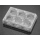 BD Plate Carboxyl 6-well 354773, Unit CS