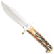 Bear and Son Knives Baby Bowie Fixed Blade Knife, 3in, High Carbon Stainless Steel, Genuine India Stag Bone Handle, 500 1/2