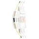 Bear Archery 1st Shot Bow Set, Neon Green 8-12lbs. RH/LH, AYS6200GR