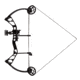 Bear Archery Frontier RTH Bow Package
