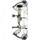 Bear Archery Legit MAXX RTH Bow Package 1503219