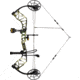 Bear Archery Legit MAXX RTH Bow Package 1503219