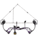 Bear Archery Royale RTH Bow Package 1503241