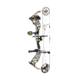 Bear Archery The Hunting Public Adapt 2 RTH Package BEA2218