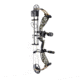 Bear Archery The Hunting Public Adapt 2+ RTH Package BEA2230