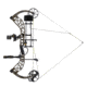 Bear Archery The Hunting Public Adapt 2+ RTH Package BEA2231