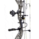 Bear Archery The Hunting Public Adapt 2+ RTH Package BEA2231