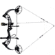 Bear Archery Cruzer G4 RTH Bow Package 1502484