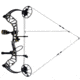 Bear Archery Legit MAXX RTH Bow Package 1502467