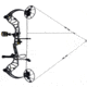 Bear Archery Legit MAXX RTH Bow Package 1502474