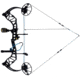 Bear Archery Legit MAXX RTH Bow Package 1502464