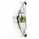 Bear Archery Scout Bow Set, Green 8-13 lbs. RH/LH, AYS6000