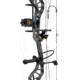 Bear Archery Species XT RTH Bow Package 1502520