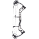 Bear Archery Surpass Bow BEA2128
