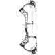 Bear Archery Surpass Bow BEA2136