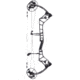 Bear Archery Surpass Bow BEA2136