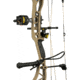 Bear Archery The Hunting Public Adapt RTH Package