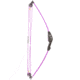 Bear Archery Youth Compound Bow Spark Ambi Purple Age 5-10