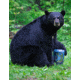 BearVault Journey Bear Resistant Food Canister, Transparent Blue, 3 Gal, BV500