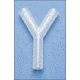 Bel-Art Y Connector 3/8'' PK12 F19616-0000