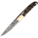 Benjamin Ram Horn Fixed Blade Knife, 8.88in Overall, 4.25in, Damascus Steel Blade, Ram's Horn Handle, Leather Sheath, BK-A034