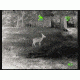 Bering Optics Prodigy 348 1.0x25 Thermal Monocular W/2x-4x Digital Zoom and Wi-Fi , 348x256, Black, BE43125