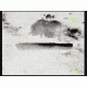 Bering Optics Prodigy 348 1.0x25 Thermal Monocular W/2x-4x Digital Zoom and Wi-Fi , 348x256, Black, BE43125