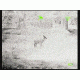 Bering Optics Prodigy 348 1.0x25 Thermal Monocular W/2x-4x Digital Zoom and Wi-Fi , 348x256, Black, BE43125