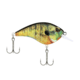 Berkley Frittside Hard Bait, Crankbait, 5 Junior, 1/4oz, 2in / 5cm, 2ft-5ft / 0.5-1.5m, Hook Size 7, 2 Hooks, HD Bluegill, 5 Junior, 1547169