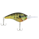 Berkley Frittside Hard Bait, Crankbait, 7, 3/7oz, 2 1/2in / 6 2/5cm, 5ft-7ft / 1.5m-2.1m, Hook Size 5, 2 Hooks, HD Bluegill, 7, 1547181