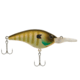 Berkley Frittside Hard Bait, Crankbait, 9, 1/2oz, 2 3/4in / 7cm, 7ft-10ft / 2-3m, Hook Size 5, 2 Hooks, MF Bluegill, BHBFS9-MFBG