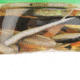 Berkley Gulp! Alive! Bait, Assortment, 5in. Jumbo Leech 176763