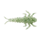 Berkley Gulp! Alive! Stonefly Soft Bait, Chive, 1618532