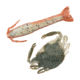 Berkley Gulp! Alive! SW Shrimp/Peeler Crab Assortment, Assorted, 1141411