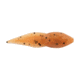 Berkley Gulp! Alive! Tadpole Soft Bait, Pumpkinseed, 1618550