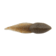 Berkley Gulp! Alive! Tadpole Soft Bait, Smog, 1618549