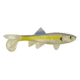 Berkley Havoc Sick Fish Bait, 3in., Chartreuse Shad 178373