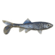 Berkley Havoc Sick Fish Bait, 3in., Disco Shad 178375