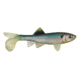 Berkley Havoc Sick Fish Bait, 3in., Ghost Minnow 178376