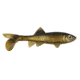 Berkley Havoc Sick Fish Bait, 3in., Gold Nugget 178377