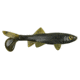 Berkley Havoc Sick Fish Bait, 3in., Green Pumpkin 178379